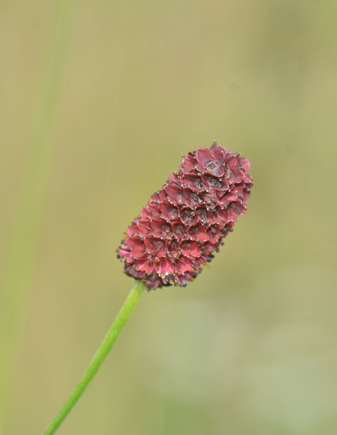 Prywatna wycieczka z przewodnikiem po BPK z finału WOŚP 2025 7
