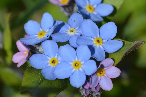 Prywatna wycieczka z przewodnikiem po BPK z finału WOŚP 2025 8