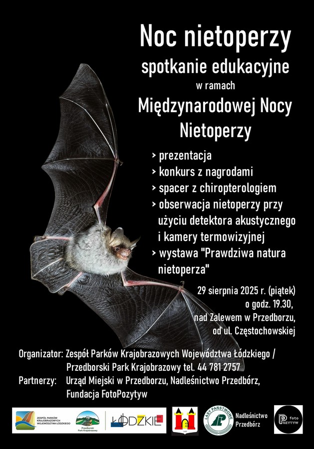 plakat noc nietoperzy 2025 mały2