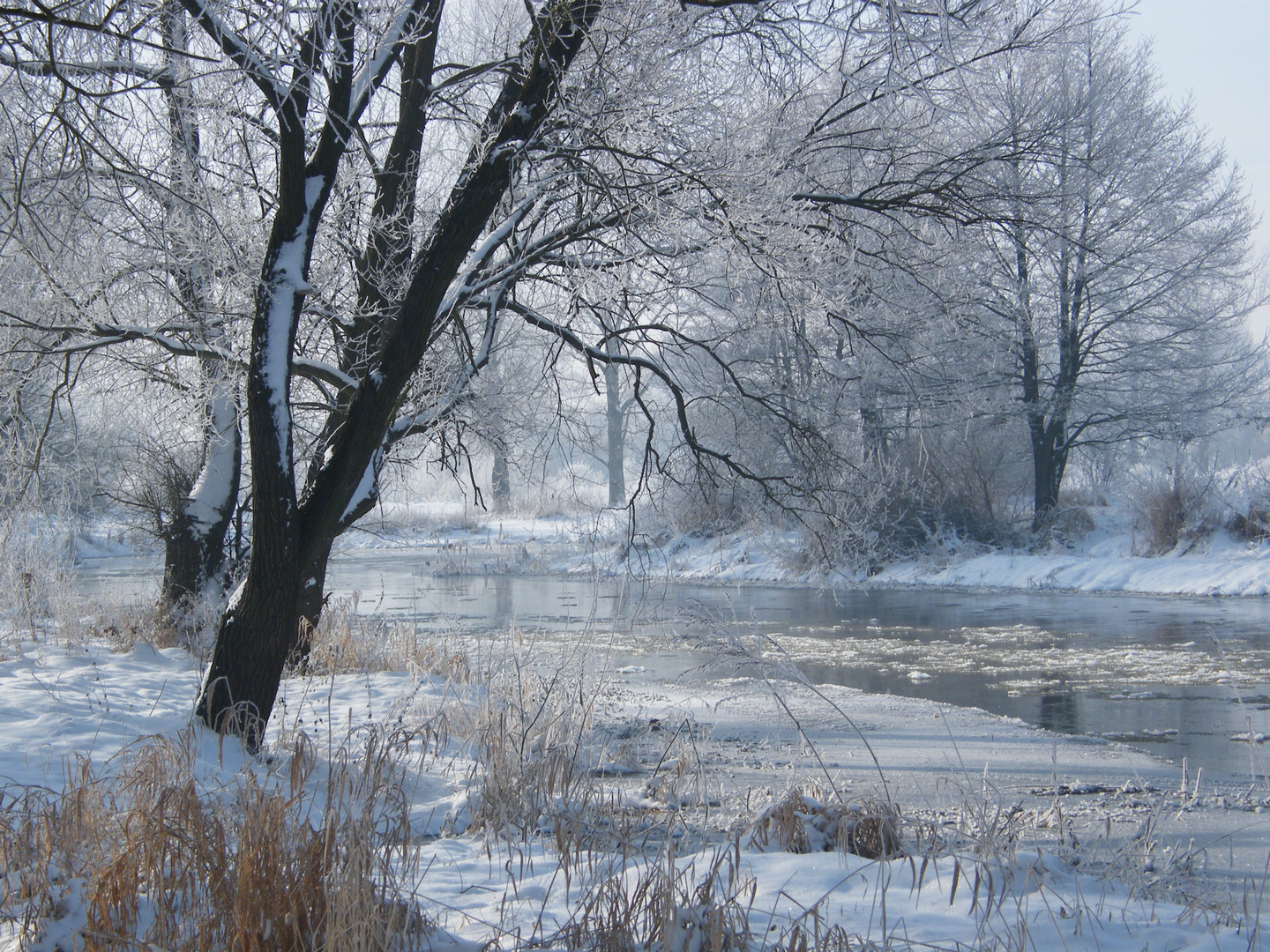 dzien śniegu