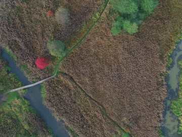Murowaniec – ukryty skarb Sulejowskiego Parku Krajobrazowego, 