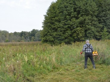 Czynna ochrona łąk w zespole przyrodniczo-krajobrazowym „Nieborów”, 