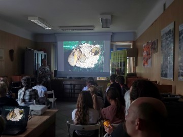 Nocne Świecenie w Puszczy Mariańskiej, 