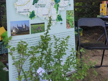 PPK na Pikniku Rodzinnym w Przedborzu., 