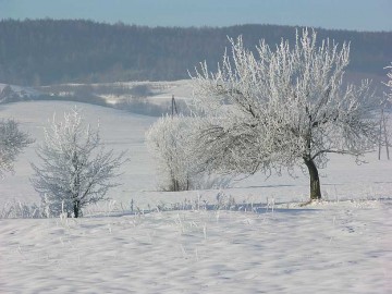 Zimowy aspekt w tle Pasmo Przedborsko - Małogoskie.