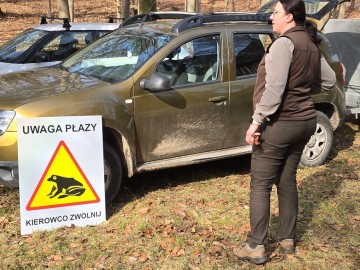 Relacja z montowania bariery herpetologicznej, 