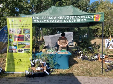 Piknik z Województwem Łódzkim w Łodzi na Teofilowie, 