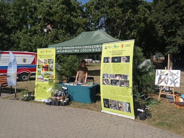 Piknik z Województwem Łódzkim w Łodzi na Teofilowie, 