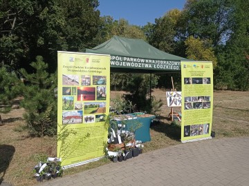Piknik z Województwem Łódzkim w Łodzi na Teofilowie, 