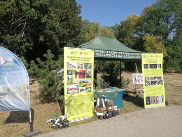 Piknik z Województwem Łódzkim w Łodzi na Teofilowie, 