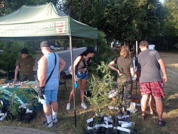 Piknik z Województwem Łódzkim w Łodzi na Teofilowie, 