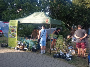 Piknik z Województwem Łódzkim w Łodzi na Teofilowie, 