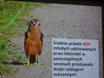 Zjazd ornitologów Ziemi Łódzkiej, 