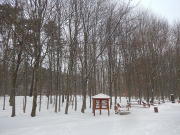 Zachęcamy do spacerów na łonie przyrody - nawet gdy spadnie pierwszy śnieg, 