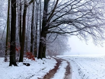 48 lat Załęczańskiego Parku Krajobrazowego, <p>Fot. M. Ignaczak</p>