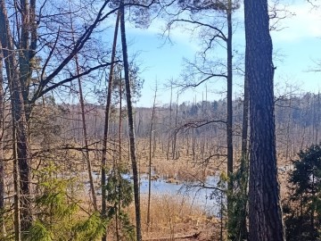 Czyszczenie budek lęgowych w naszych parkach, 