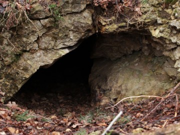 Jaskinia Draba, <p>fot. M.Ignaczak</p>