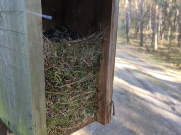 Przegląd i czyszczenie budek dla ptaków w Sieradzkich Parkach Krajobrazowych, 