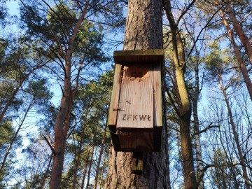 Przegląd i czyszczenie budek dla ptaków w Sieradzkich Parkach Krajobrazowych, 