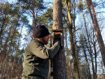 Przegląd i czyszczenie budek dla ptaków w Sieradzkich Parkach Krajobrazowych, 