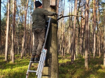 Przegląd i czyszczenie budek dla ptaków w Sieradzkich Parkach Krajobrazowych, 