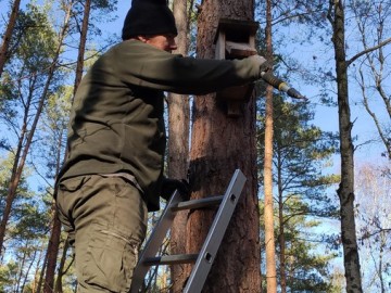 Przegląd i czyszczenie budek dla ptaków w Sieradzkich Parkach Krajobrazowych, 