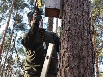 Przegląd i czyszczenie budek dla ptaków w Sieradzkich Parkach Krajobrazowych, 