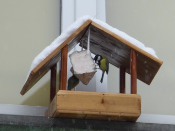 Zimowe Ptakoliczenie w Zadzimiu, Archiwum OT SPK